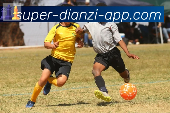 PP电子官网荣誉